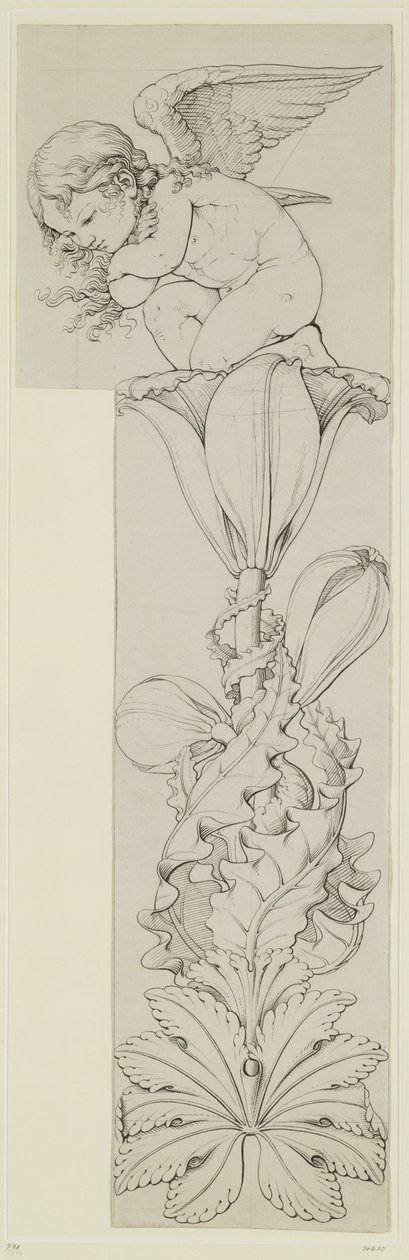 Genius of the Lily, 1809 (tužka a mytí na papíře) (pravé křídlo) od Philipp Otto Runge