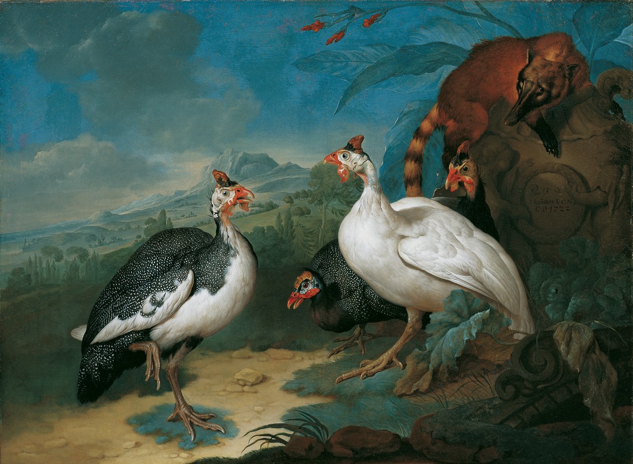 Perlička a nosatka od Philipp Ferdinand de Hamilton