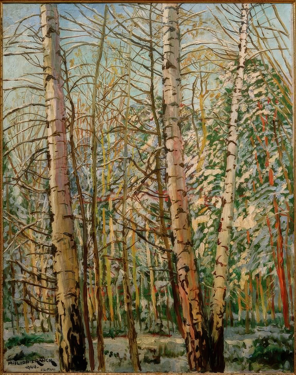 Břízy ve sněhu od Philipp Franck