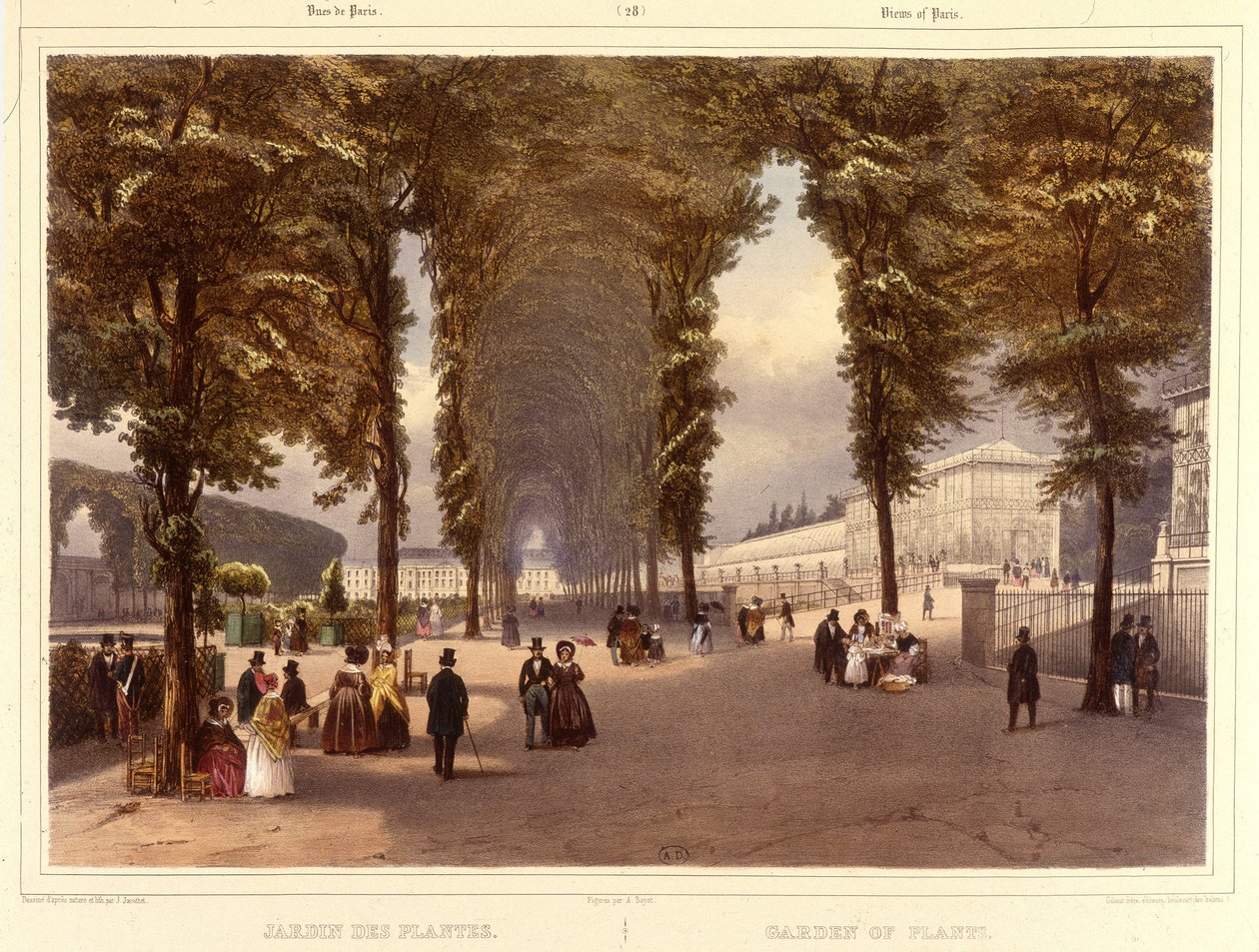 Le Jardin des Plantes - v "" Procházka v Paříži a jejím okolí ", od Jacottet a Benoist, Paříž, kolem roku 1840 od Philippe Benoist