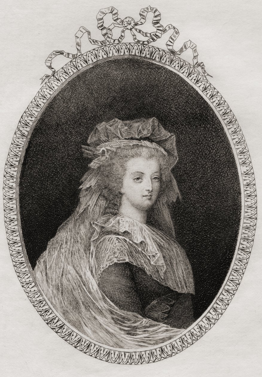 Marie-Antoinetta (1755-93): královna Francie od Philippe Mercier