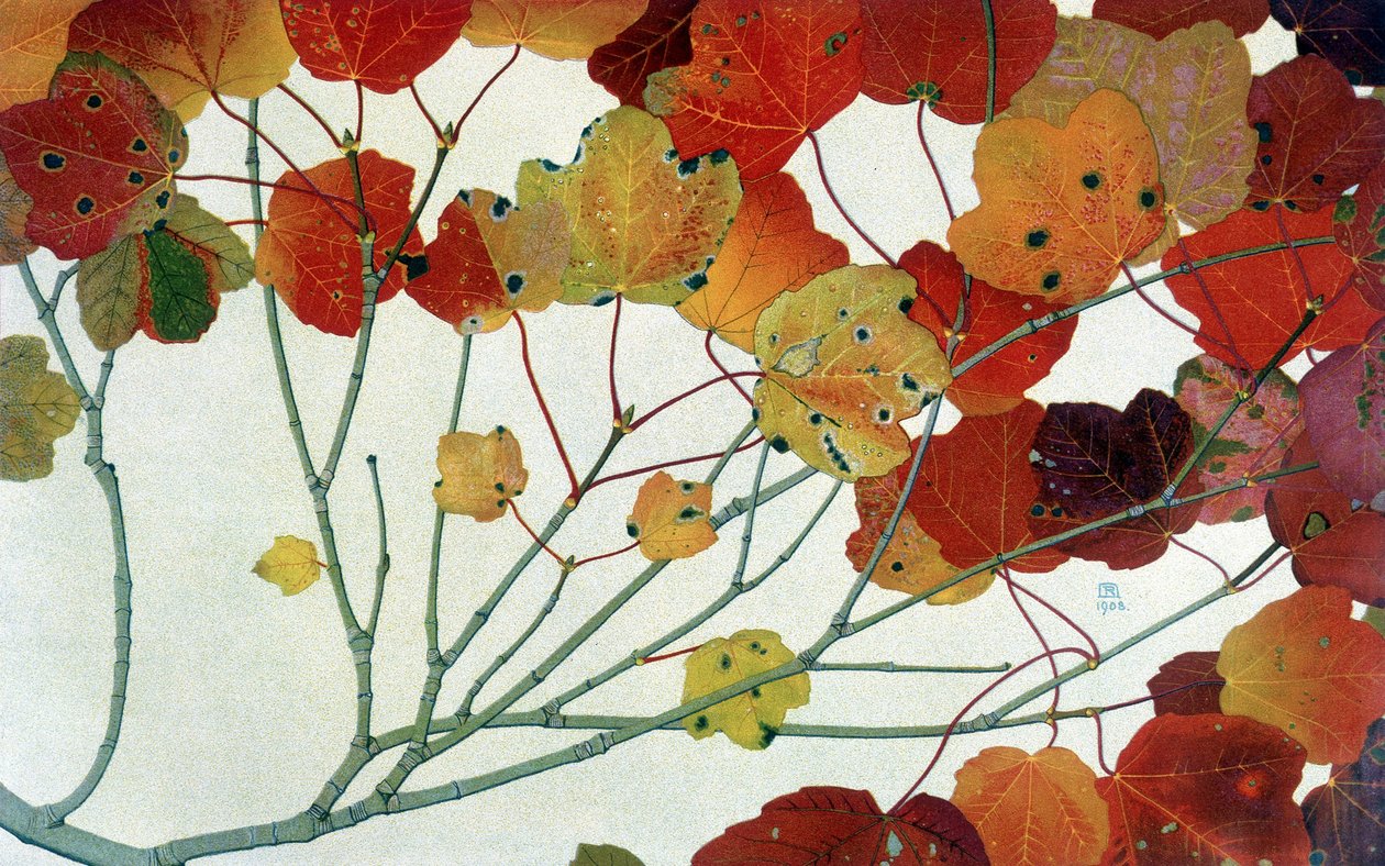 Feuilles d
