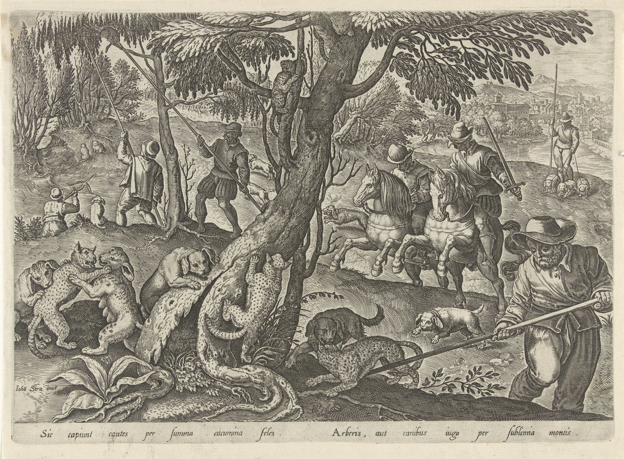 Jacht op wilde katten Jachttaferelen (název série) Ve kterém každý druh lovu, drůbeže a rybaření (název série) od Philips Galle
