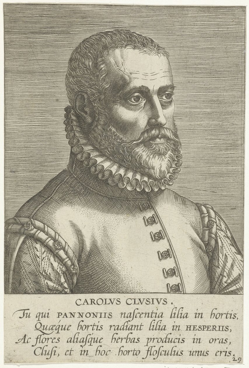 Portrét Caroluse Clusia od Philips Galle