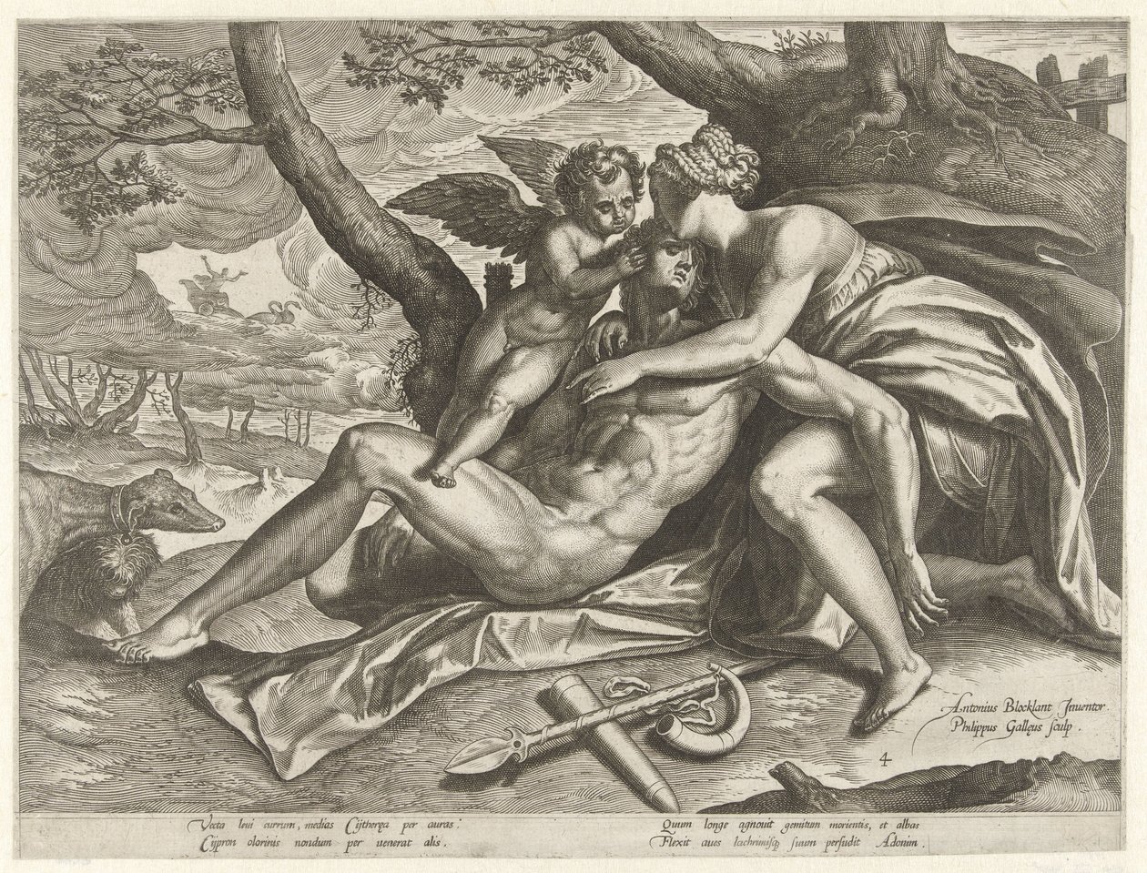 Venuše truchlí nad Adonisovou smrtí Příběh Adonise (název série) od Philips Galle