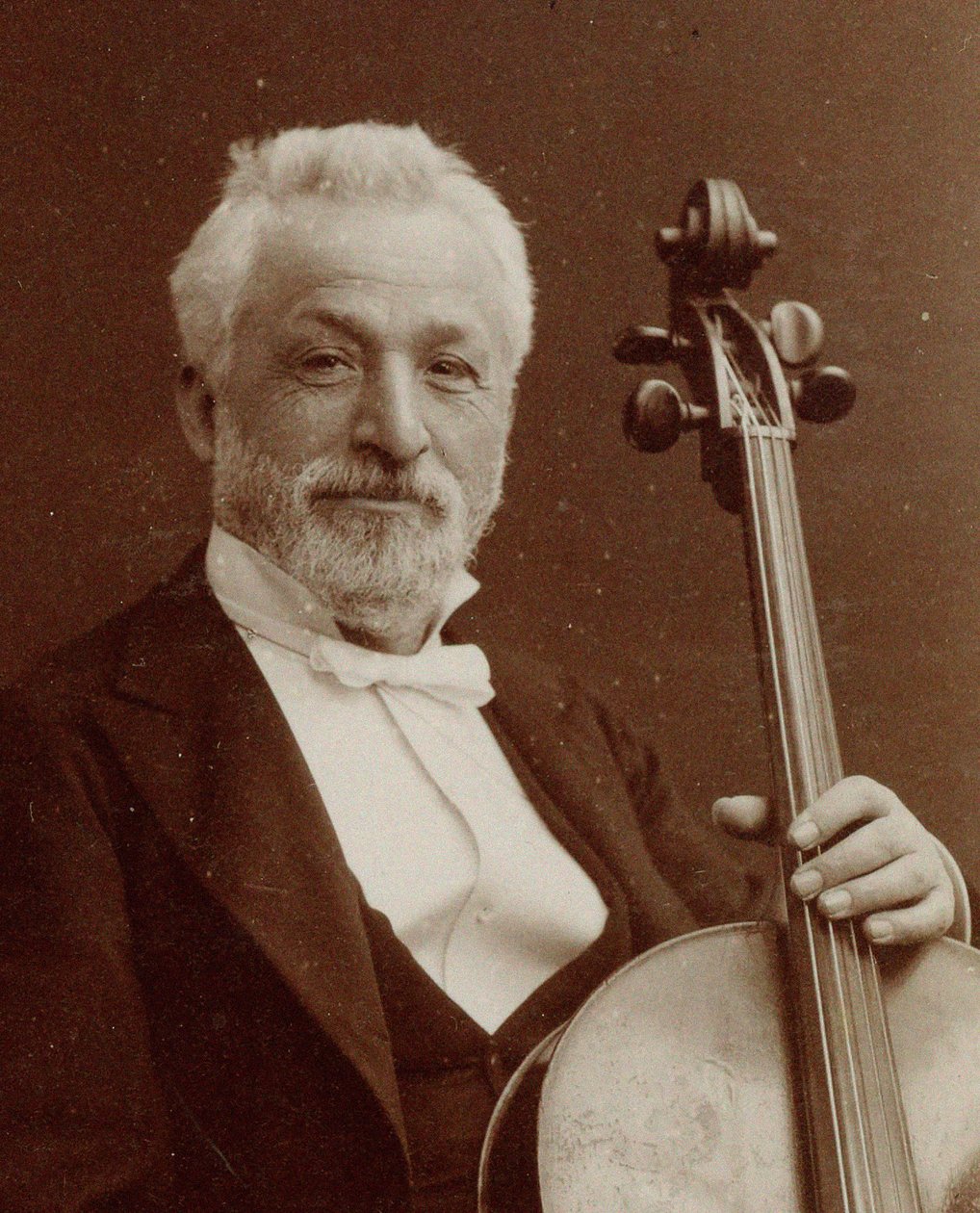 Portrét skladatele a violoncellisty Gaetana Bragy 1829-1907, c. 1875. od Photo studio Nadar.