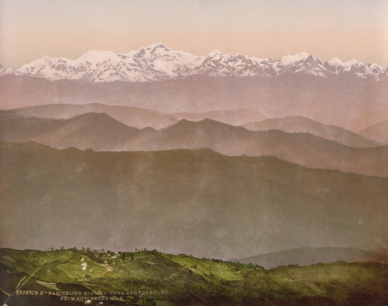 Darjeeling. Kinchinjunga a sněhy z Kutcherry Hill od Photoglob Co. (Zurich, active c. 1890 1910)
