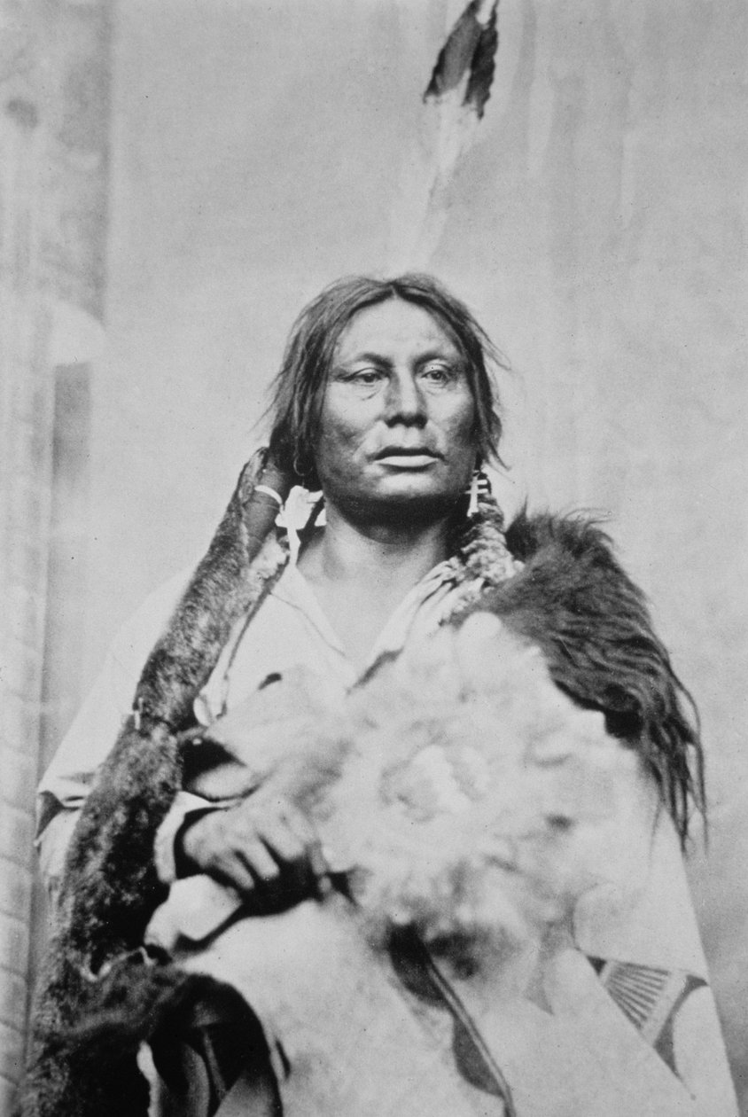 Chief Gall (asi 1840-94) (černobílá fotografie) od Photographer American
