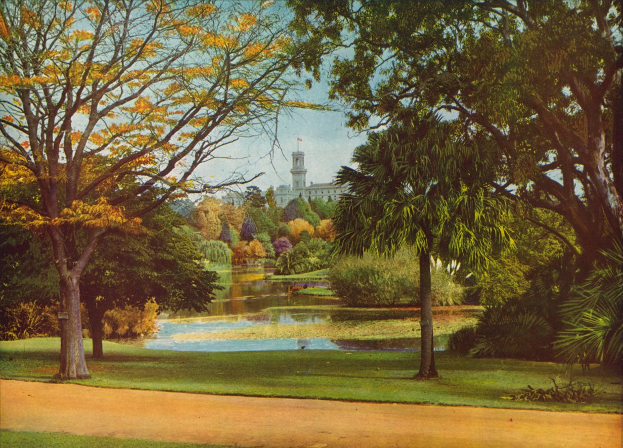  od Photographer Australian