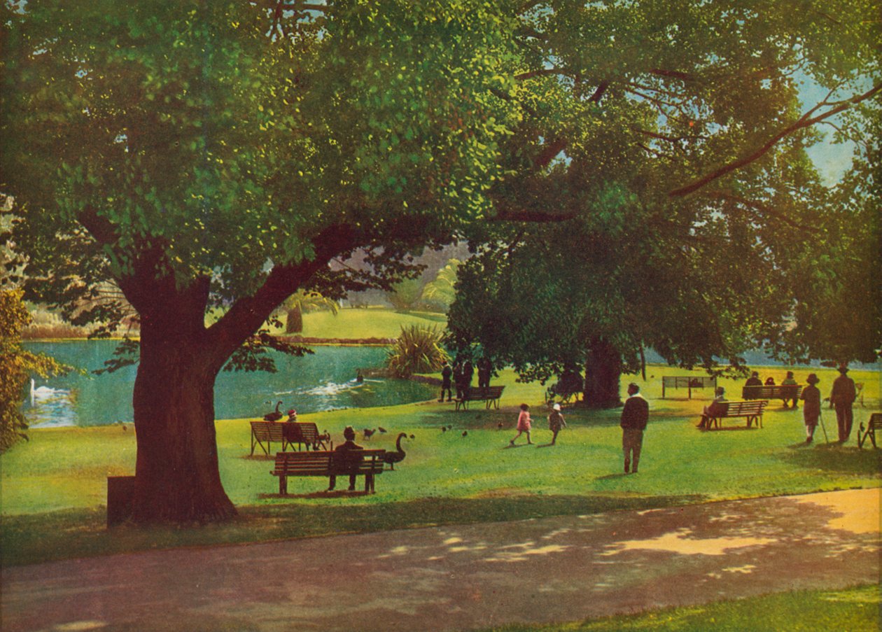  od Photographer Australian