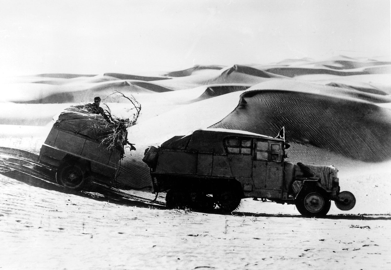 Poušť Gobi, Žlutá expedice od Photographer French