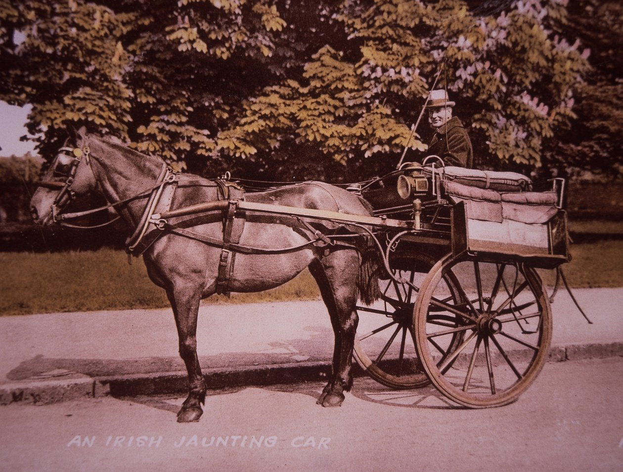 Irish Jaunting Car, cca 1910 (ručně kolorovaná černobílá fotografie) od Photographer Irish