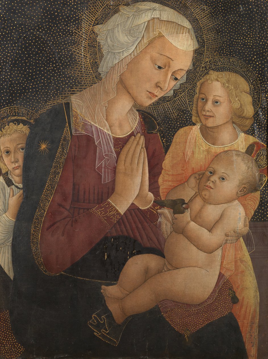 Panna a dítě se dvěma anděly, 1550-75 od Pier Francesco Fiorentino
