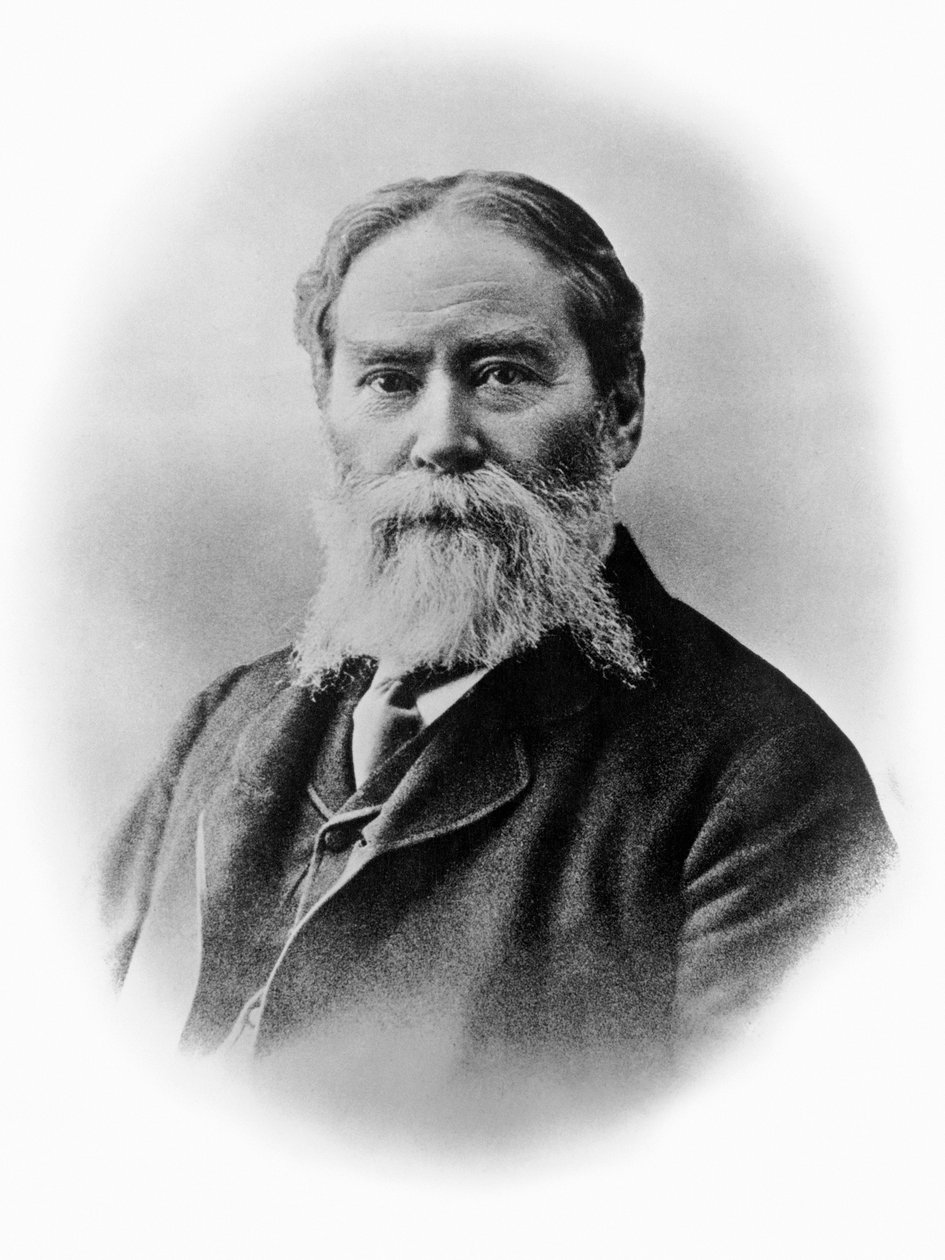 Portrét Jamese Russella Lowella (1819-1891), americký romantický básník, kritik, redaktor, abolicionista a diplomat, fotografie od Blaise Nicolas Le Sueur
