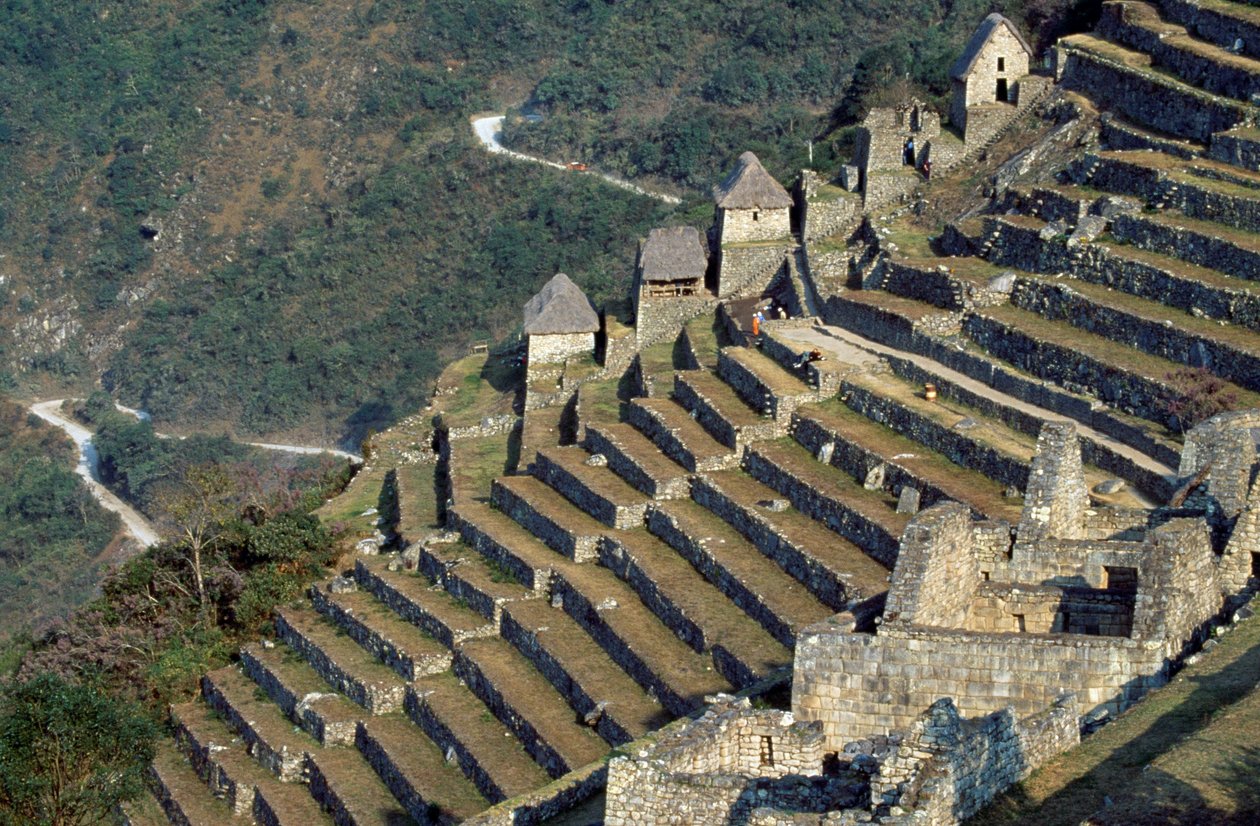 Terraces, Machu Picchu (Seznam světového dědictví UNESCO od Blaise Nicolas Le Sueur