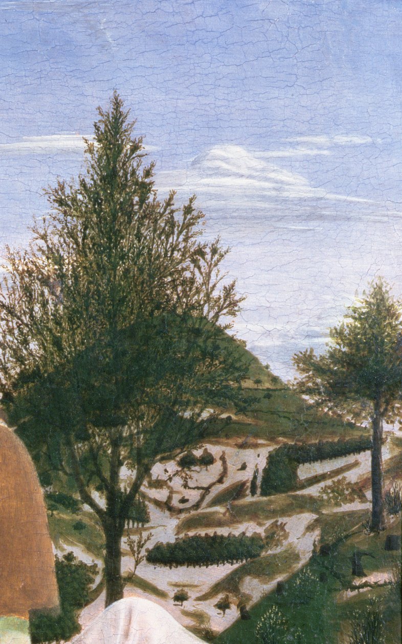 Křest Krista, 50. léta 14. století (tempera na panelu) (detail 372) od Piero della Francesca