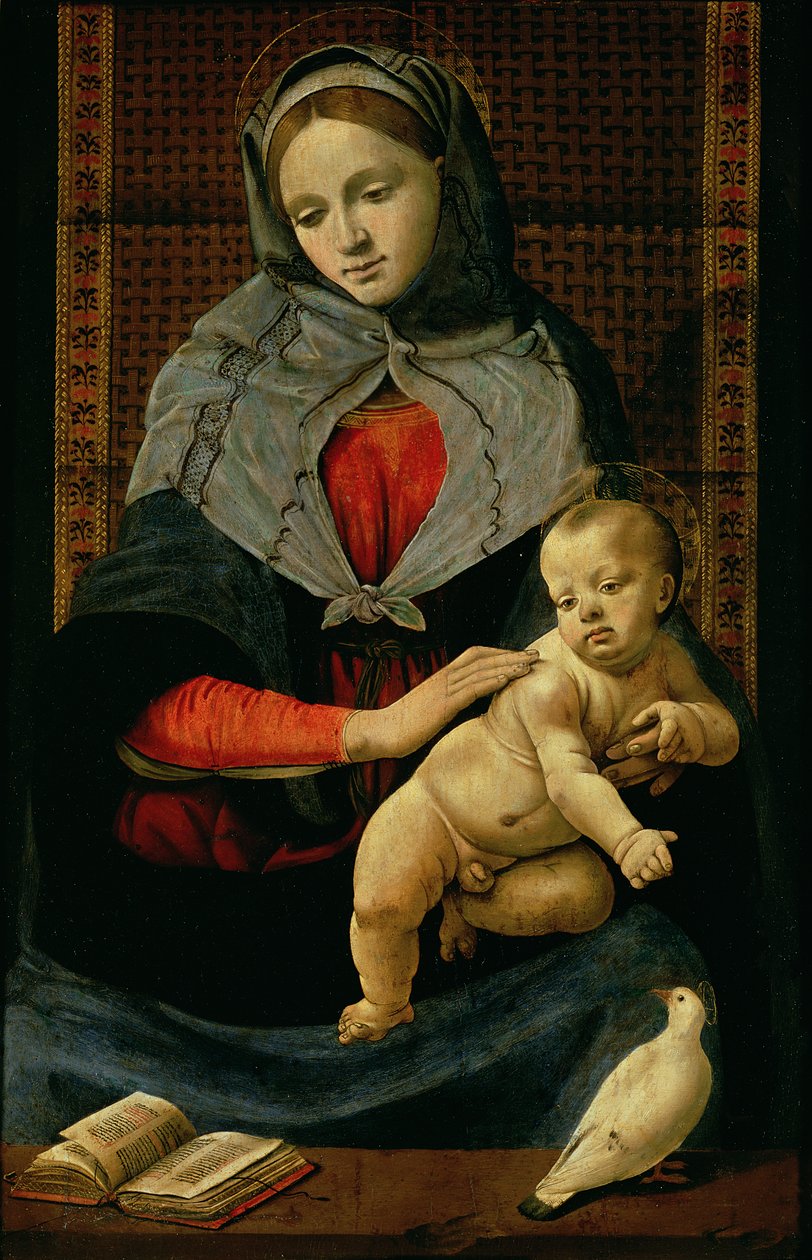 Madonna a dítě s holubicí od Piero di Cosimo