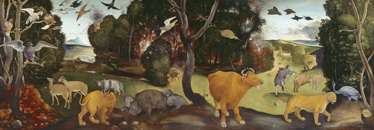 Lesní požár, 15. století od Piero di Cosimo