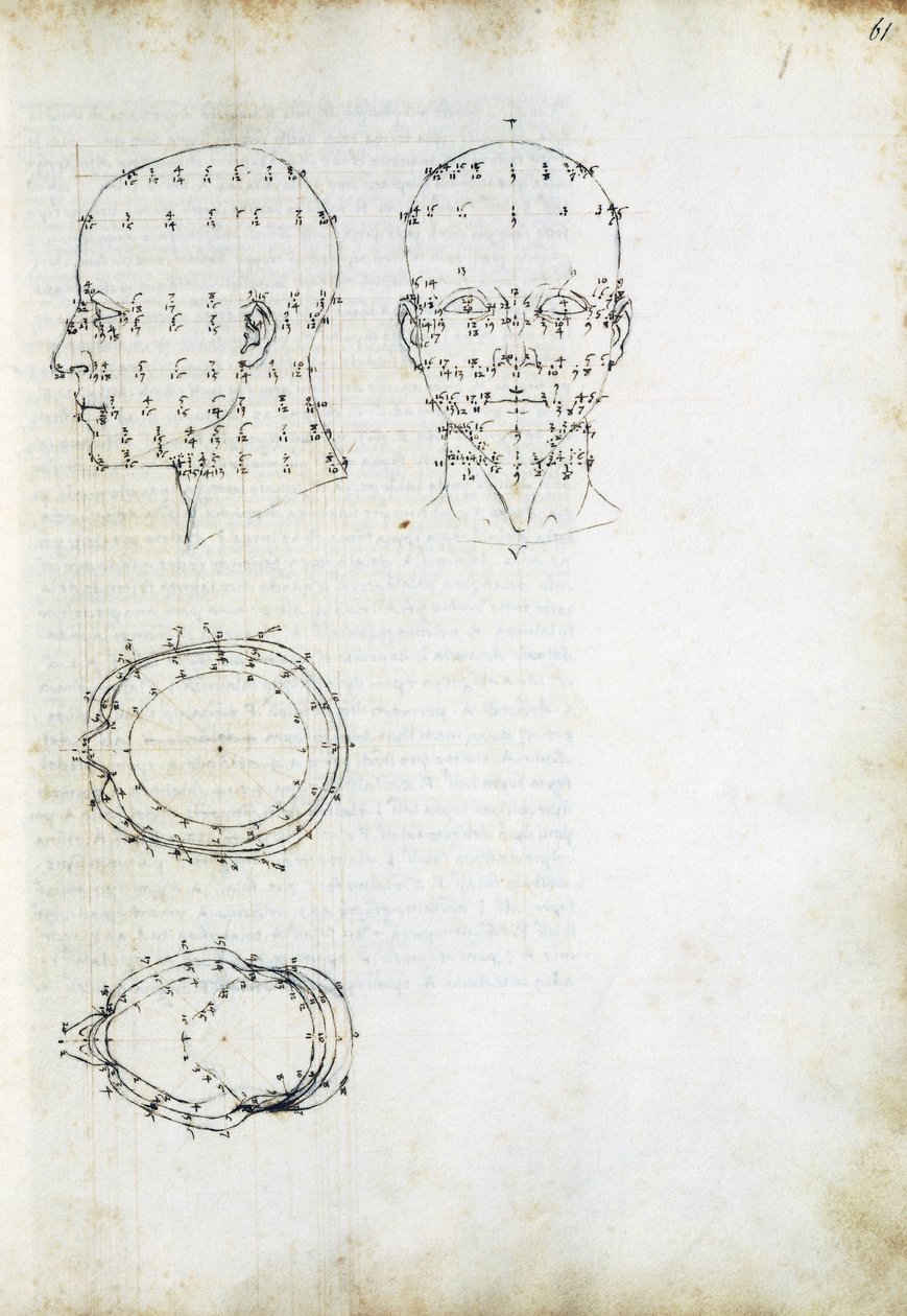 Konstrukce a geometrická projekce hlavy, stránka z De Prospectiva pingendi (O perspektivě malby), Piero della Francesca (asi 1415-1492), Itálie od Piero della Francesca