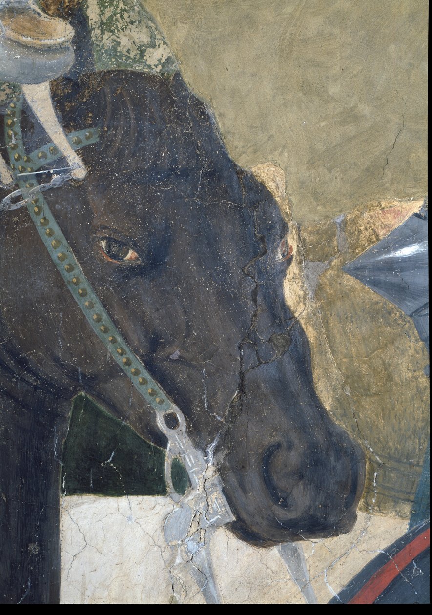 Legenda o pravém kříži, Konstantinovo vítězství v bitvě u Milvijského mostu, detail koňské hlavy, dokončeno 1464 freska viz také 116343 od Piero della Francesca