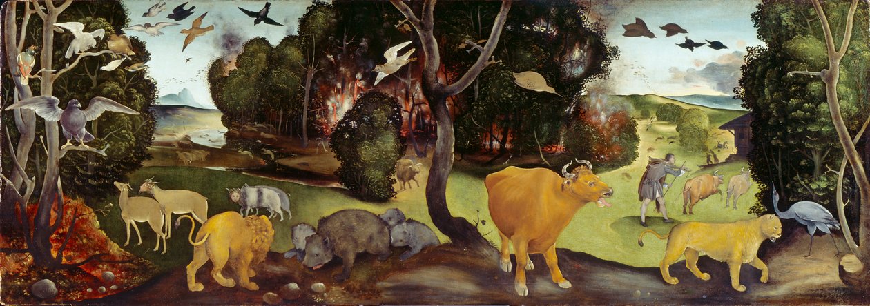 Lesní požár, c1505 od Piero di Cosimo