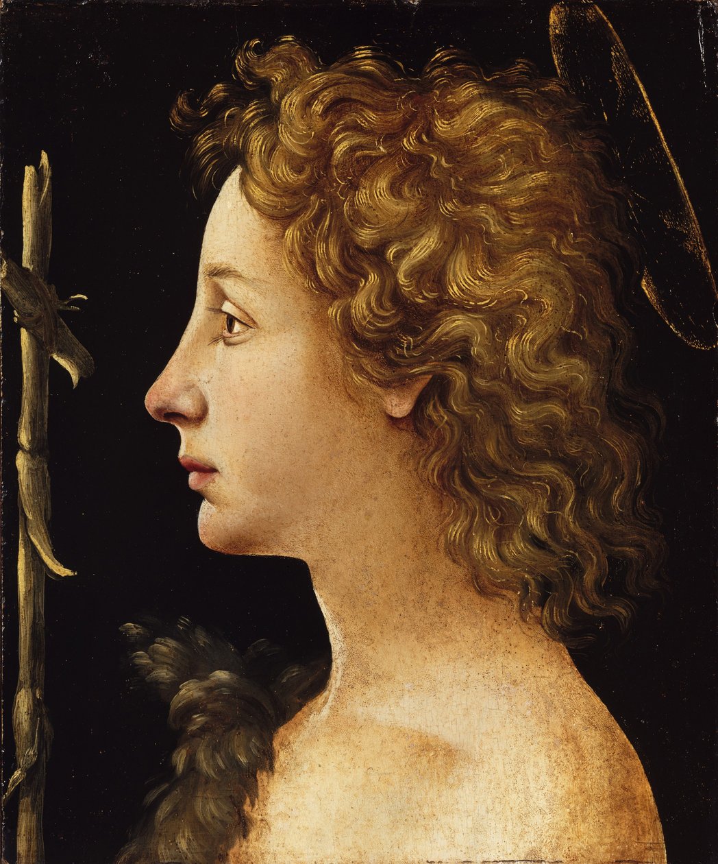 Mladý svatý Jan Křtitel (tempera a olej na dřevě) od Piero di Cosimo