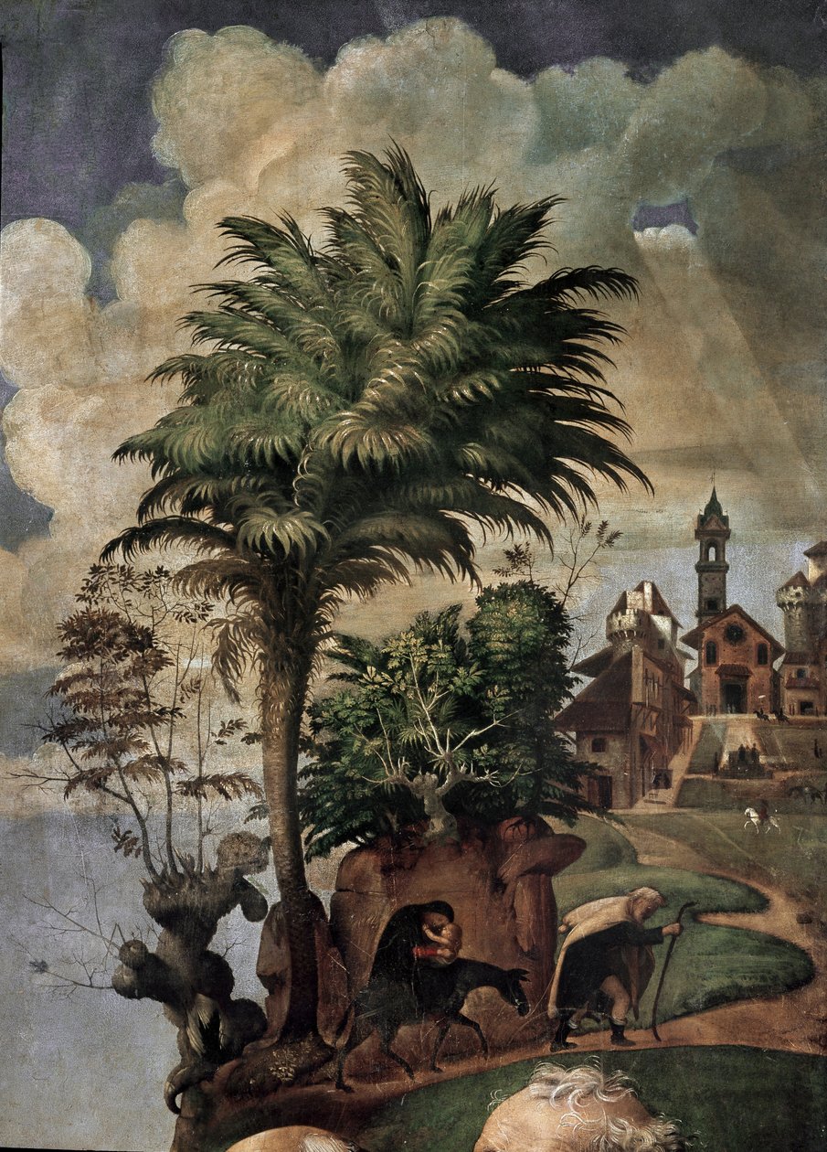Panna a dítě na trůnu obklopené svatými, detail (olej a tempera na panelu, cca 1493) od Piero di Cosimo