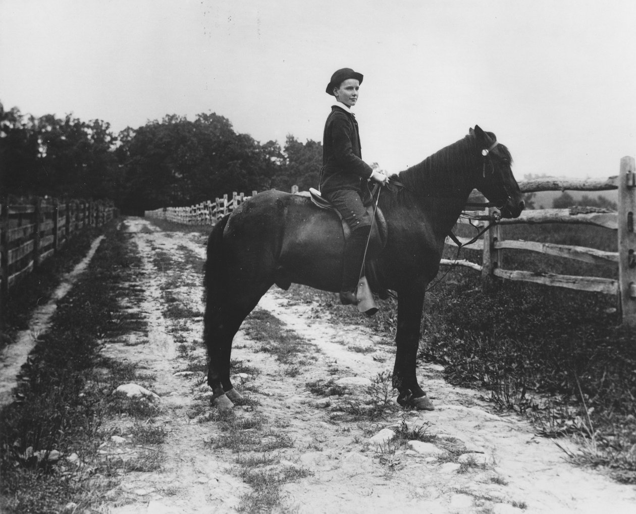 Chlapec pana Eugena du Pont na koni od Pierre A. Gentieu