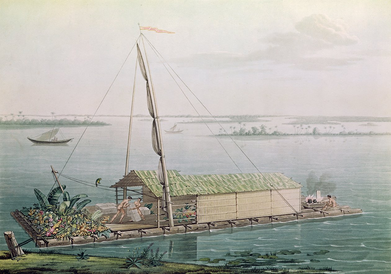 Vor na řece Guayaquil, z „Voyages aux Regions Equinoxiales du Nouveau Continent“ od Alexandra de Humboldta (1769-1859) vyrytý Michelem Bouquetem (1807-90) vydaný v roce 1814 (barevná rytina od Pierre Antoine Marchais