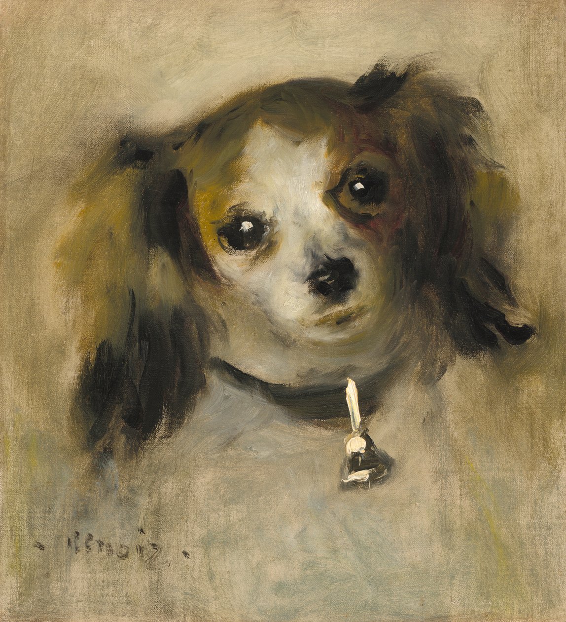Hlava psa, 1870 od Pierre Auguste Renoir