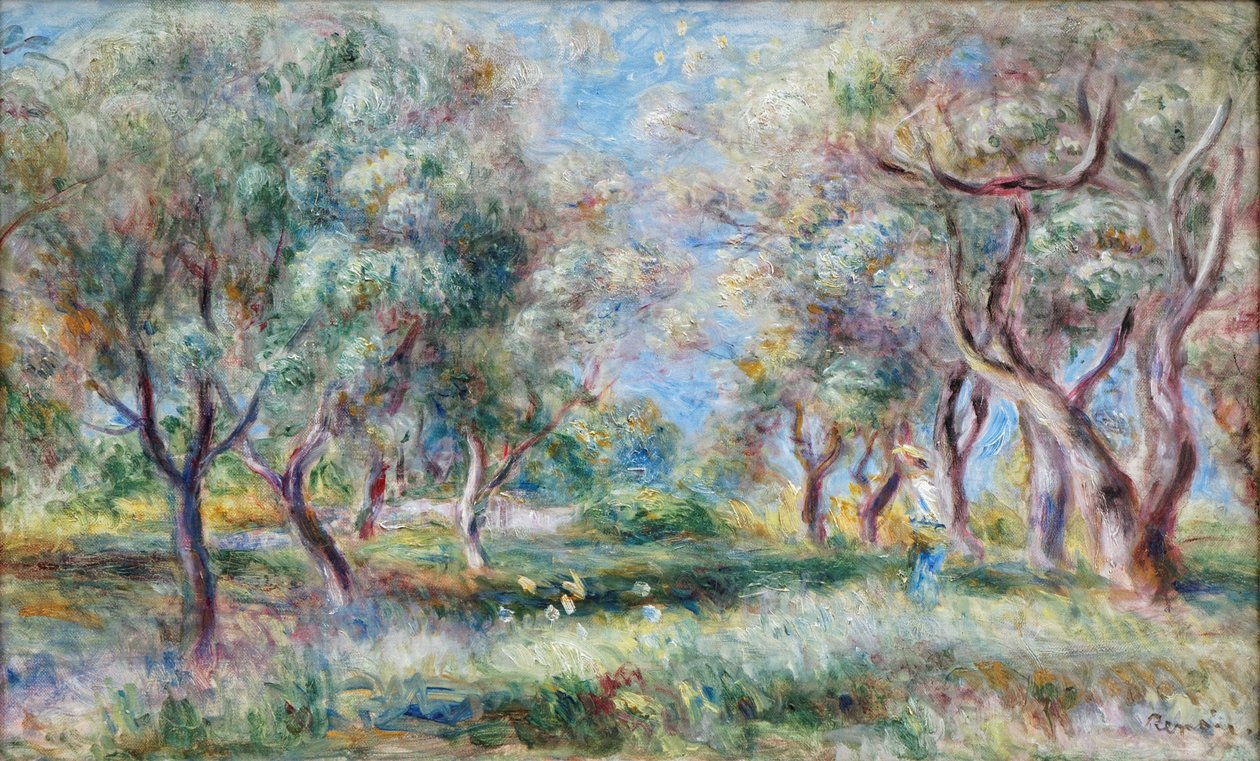 Olivovníky Cagnes od Pierre-Auguste Renoir