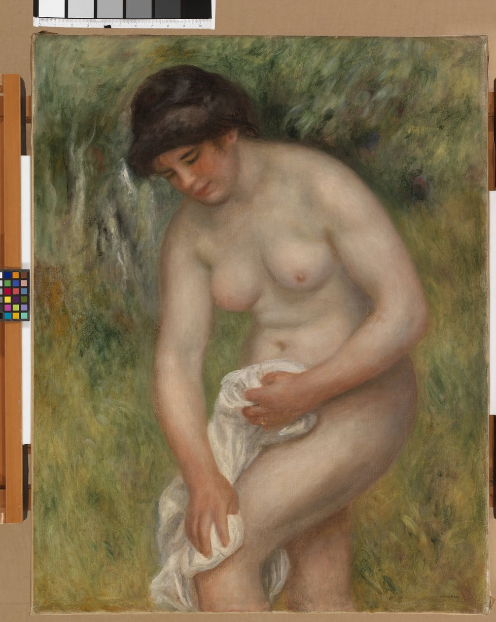 Akt, zelené pozadí, 1902 od Pierre Auguste Renoir