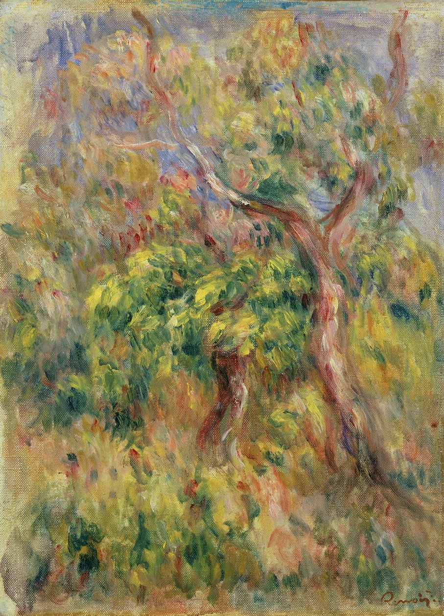 Stromy, 1915-16 od Pierre Auguste Renoir