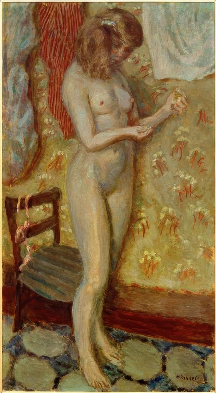 Akt ve světle nebo Akt v jehle od Pierre Bonnard