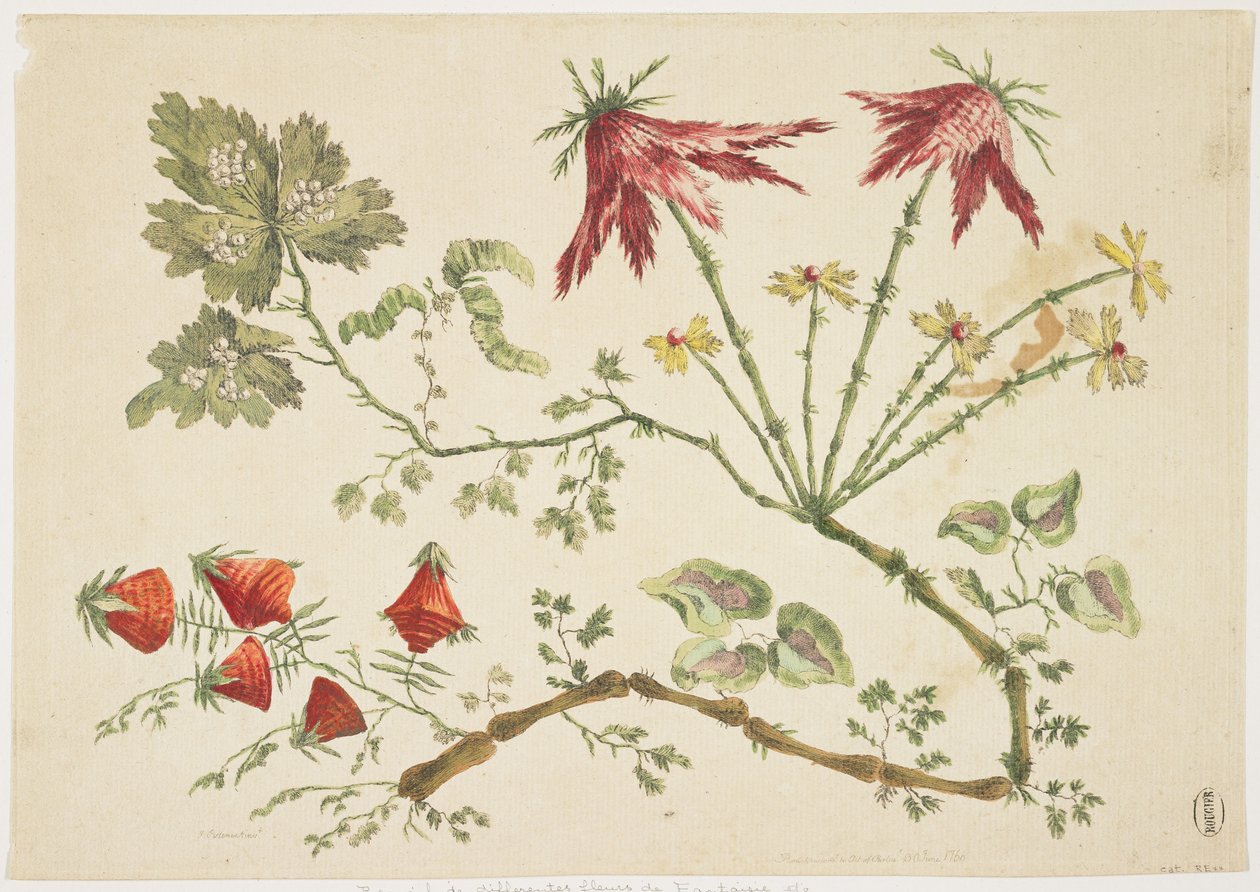 Ornament, Chinoiserie, Květiny, 30. června 1760 (barevný lept) od Pierre Charles Canot