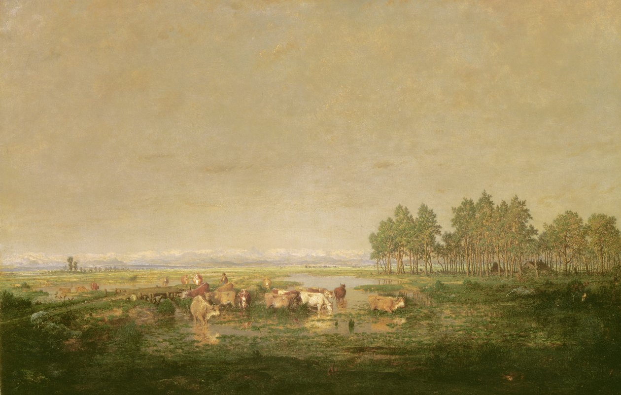 Bažiny v Les Landes, asi 1853 od Pierre Etienne Theodore Rousseau