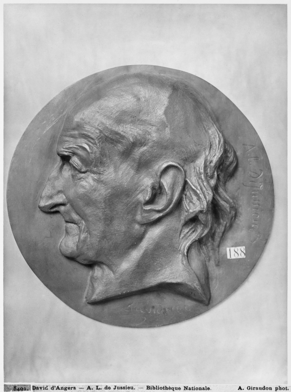 Antoine Laurent de Jussieu (bronz) od Pierre Jean David d