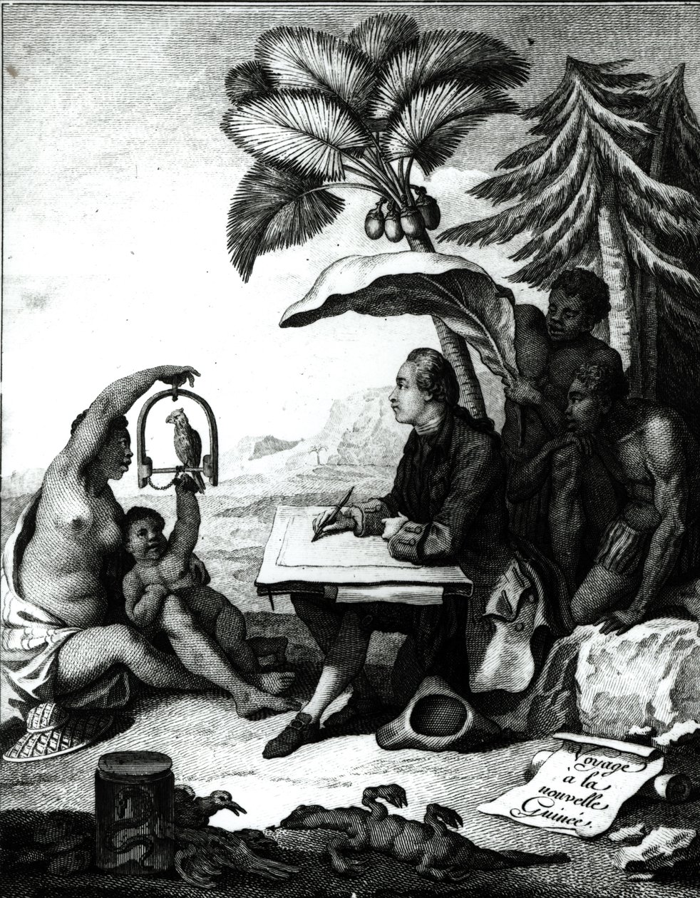 Pierre Sonnerat kreslí ptáka, z „Voyage a la Nouvelle-Guinee“, vyryl Marie Therese Martinet (nar. 1731) 1776 od Pierre Sonnerat
