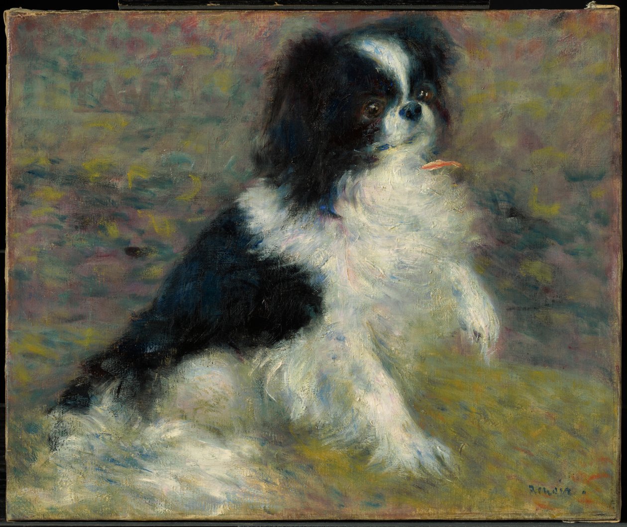 Tama, japonský pes od Pierre-Auguste Renoir