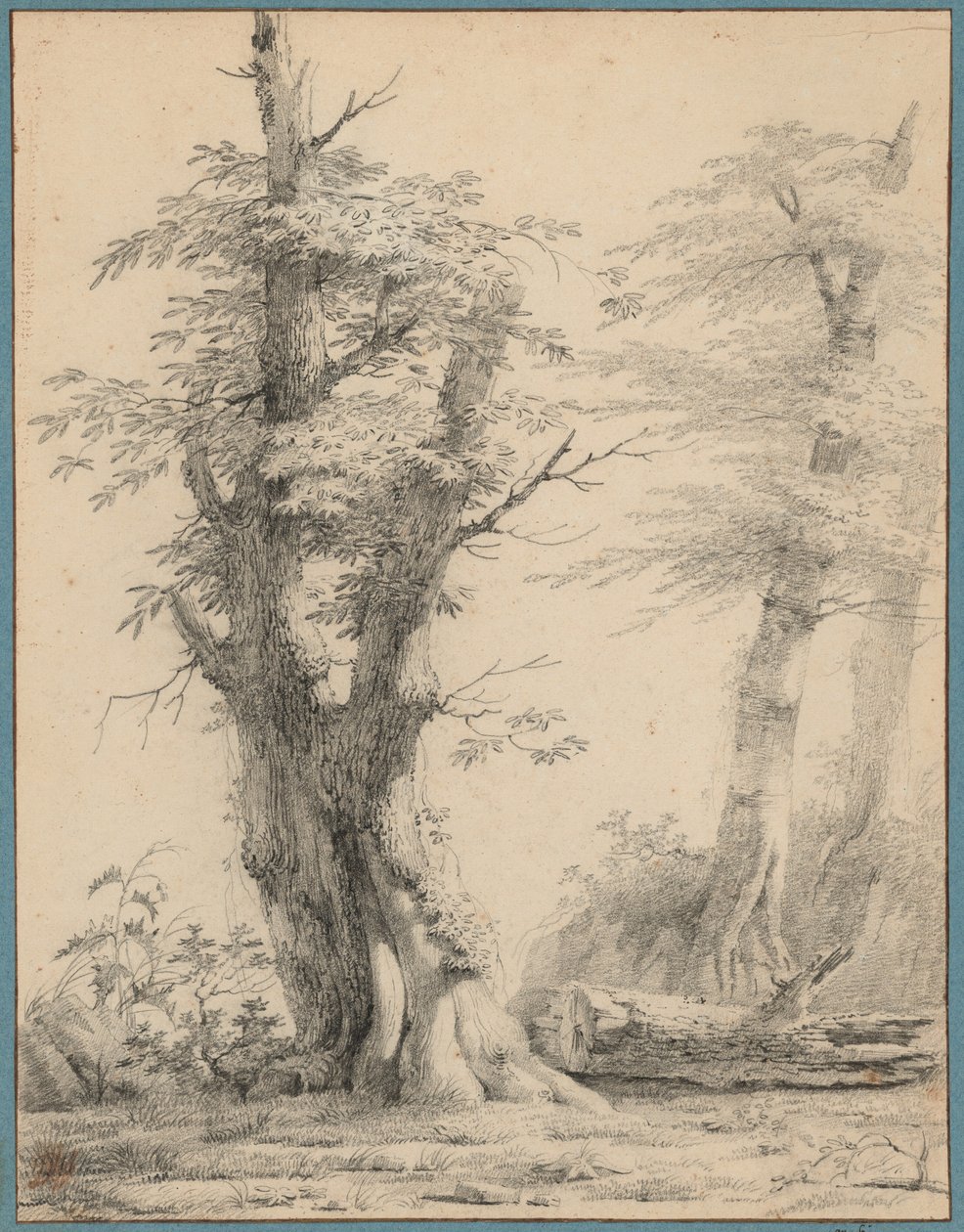 Skupina stromů od Pierre-Henri de Valenciennes