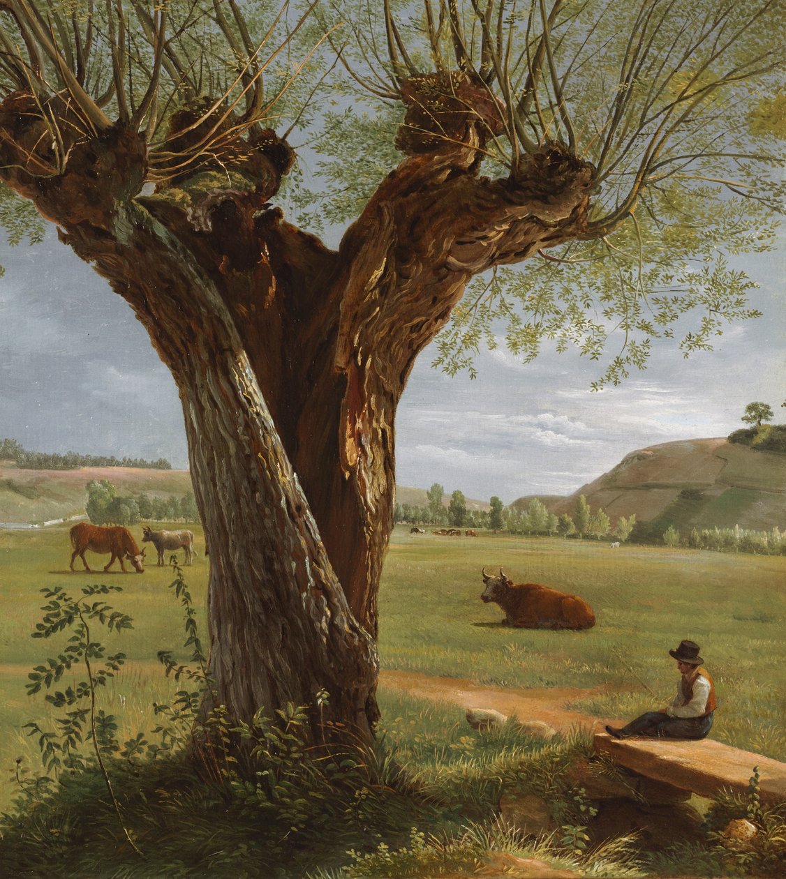 Pollardova vrba, po roce 1804 (olej na papíře, adjustováno na plátně) od Pierre Jean Boquet