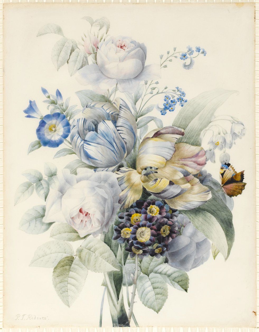 Hromada květin včetně růží, papouščích tulipánů, pomněnek, sněhových vloček, auricula a Ipomoea s imaginárním motýlem (grafit a wc s arabskou gumou a tělovou barvou přes grafit na pergamenu) od Pierre Joseph Redouté