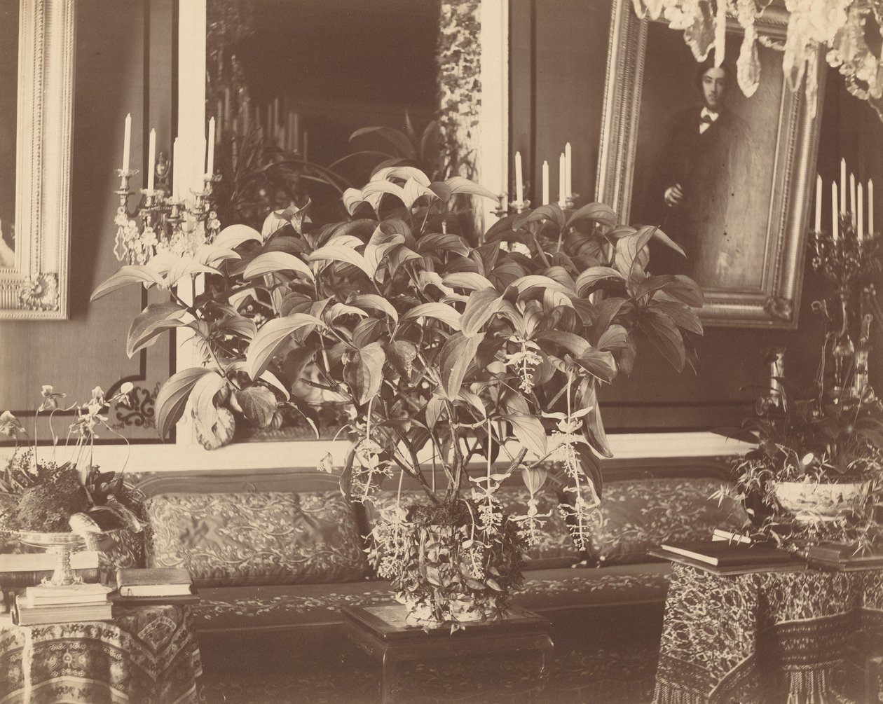 Interiér od Pierre Ambroise Richebourg