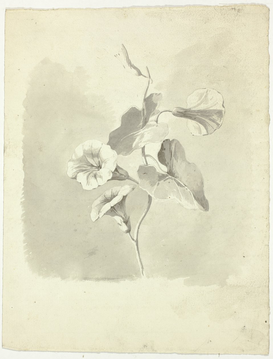 Ranní glorie od Pierre Antoine Mongin