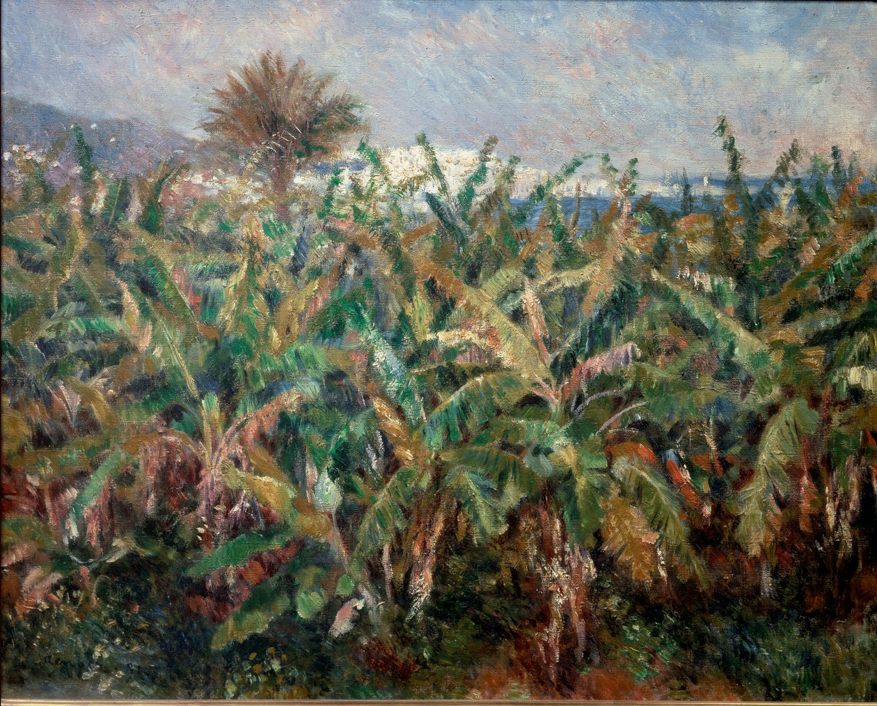 Banánové pole od Pierre Auguste Renoir