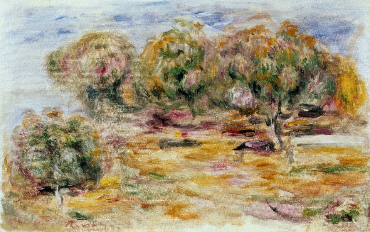 Zahrada Collettes od Pierre Auguste Renoir