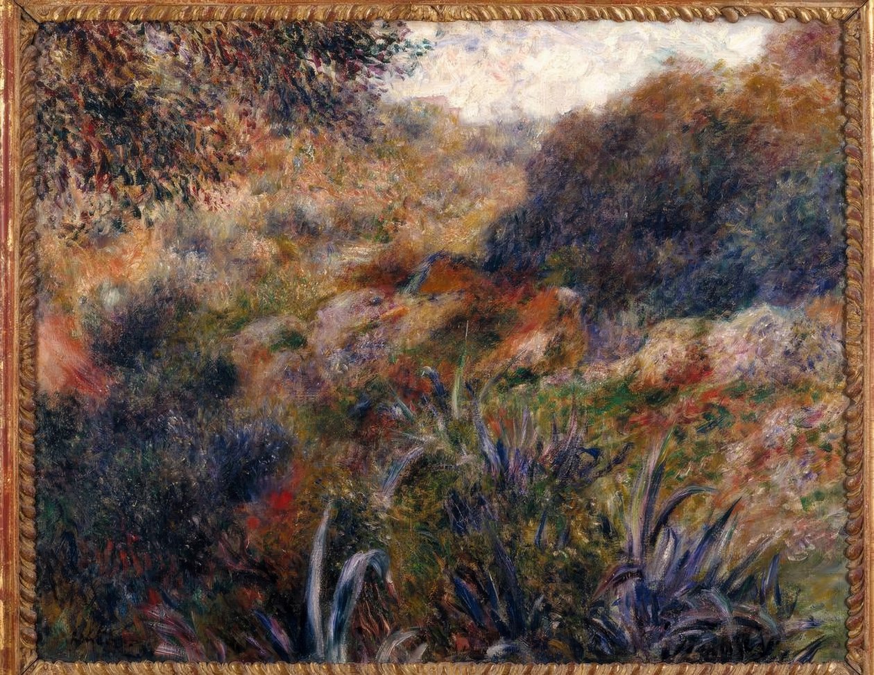 Alžírská krajina. Rokle Divoké ženy od Pierre Auguste Renoir