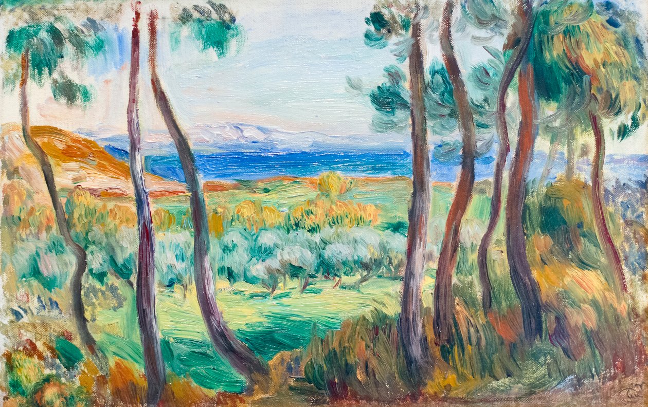 Pines lähellä Cagnesia, n. 1910 (öljy kankaalle) od Pierre Auguste Renoir