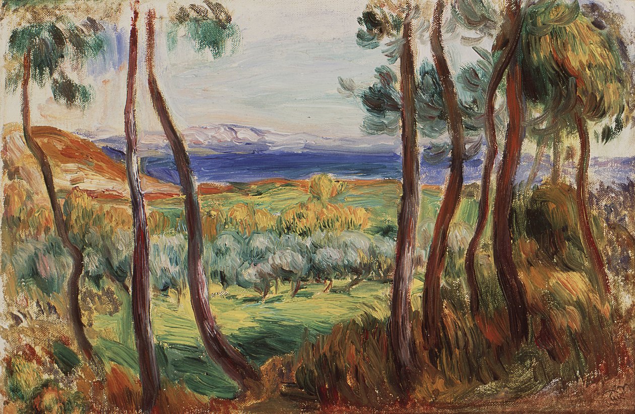 Pines kolem Cagnes, c. 1910. od Pierre Auguste Renoir