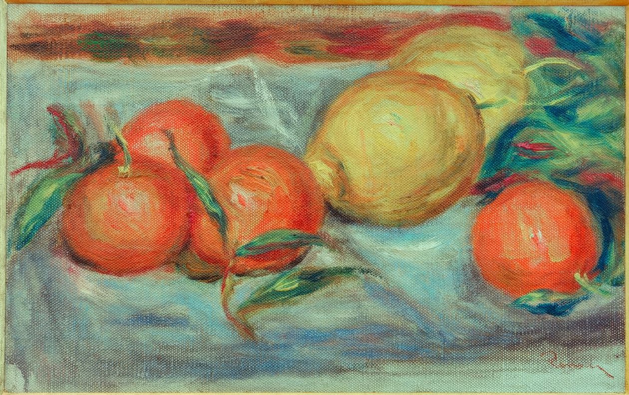 Zátiší s citrusovými plody od Pierre Auguste Renoir